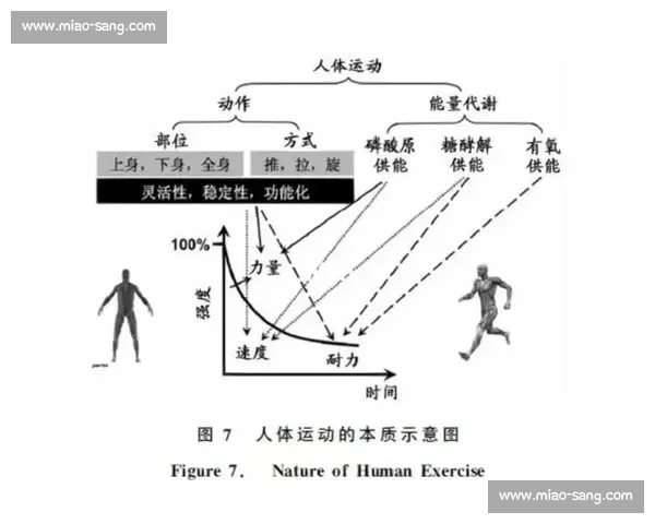 体育训练后科学恢复与体能重建协同提升运动表现的关键策略