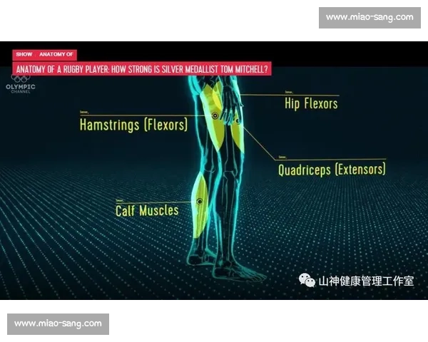 构建科学高效的体育训练体系与运动能力提升策略