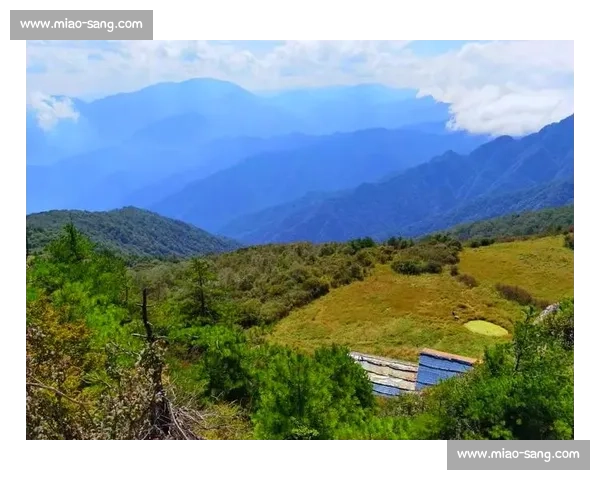 探索高山极限：登山运动中的挑战与自然奇观体验
