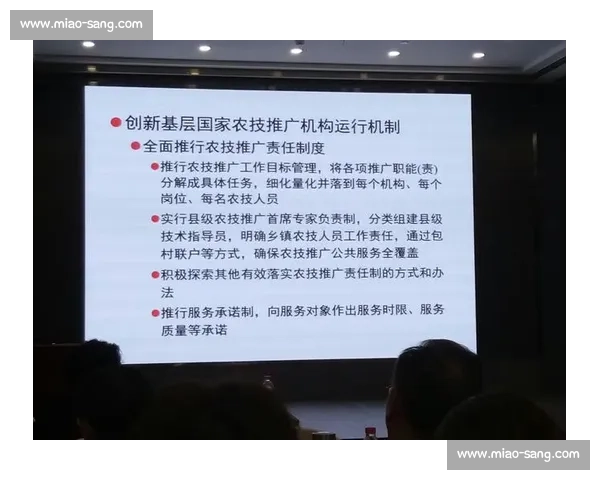 门前抢点战术解析及实战应用全面指导